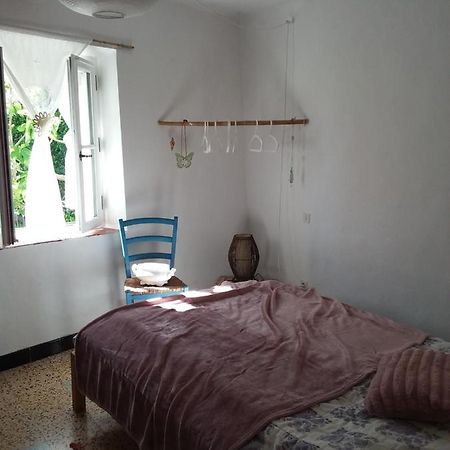 Chambre D'Hotes Ici Bédoin Kültér fotó